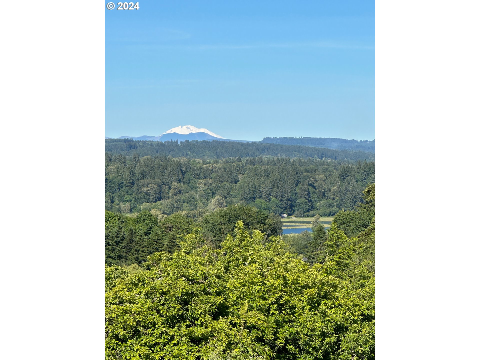 27309 Northeast 29th Avenue Ridgefield, WA 98642 - Photo 39 of 39 a view of a lake from a window
