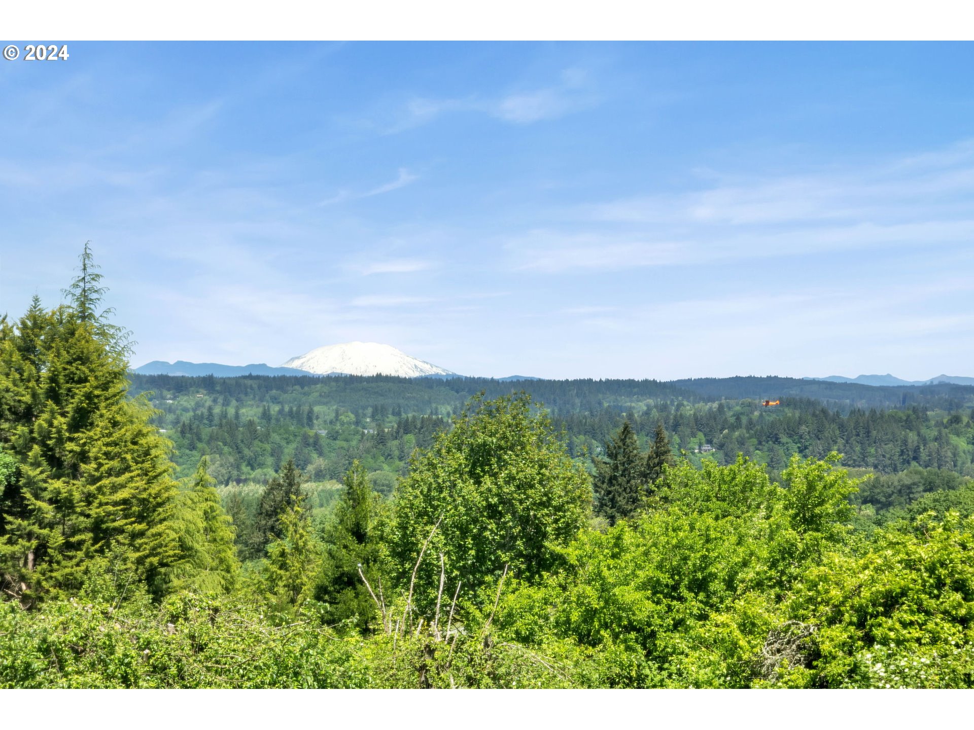 27309 Northeast 29th Avenue Ridgefield, WA 98642 - Photo 4 of 39 a view of a green field