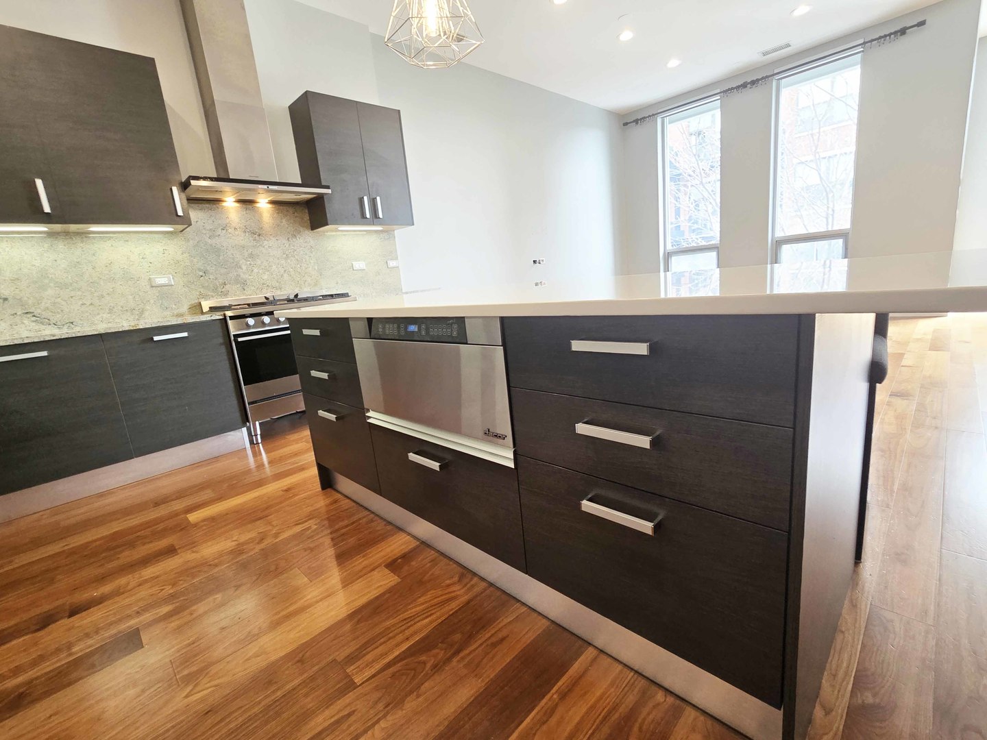 1100 West Adams Street, Unit 3N Chicago, IL 60607 - Photo 14 of 32