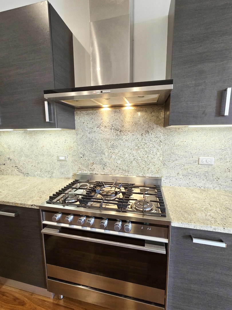 1100 West Adams Street, Unit 3N Chicago, IL 60607 - Photo 10 of 32