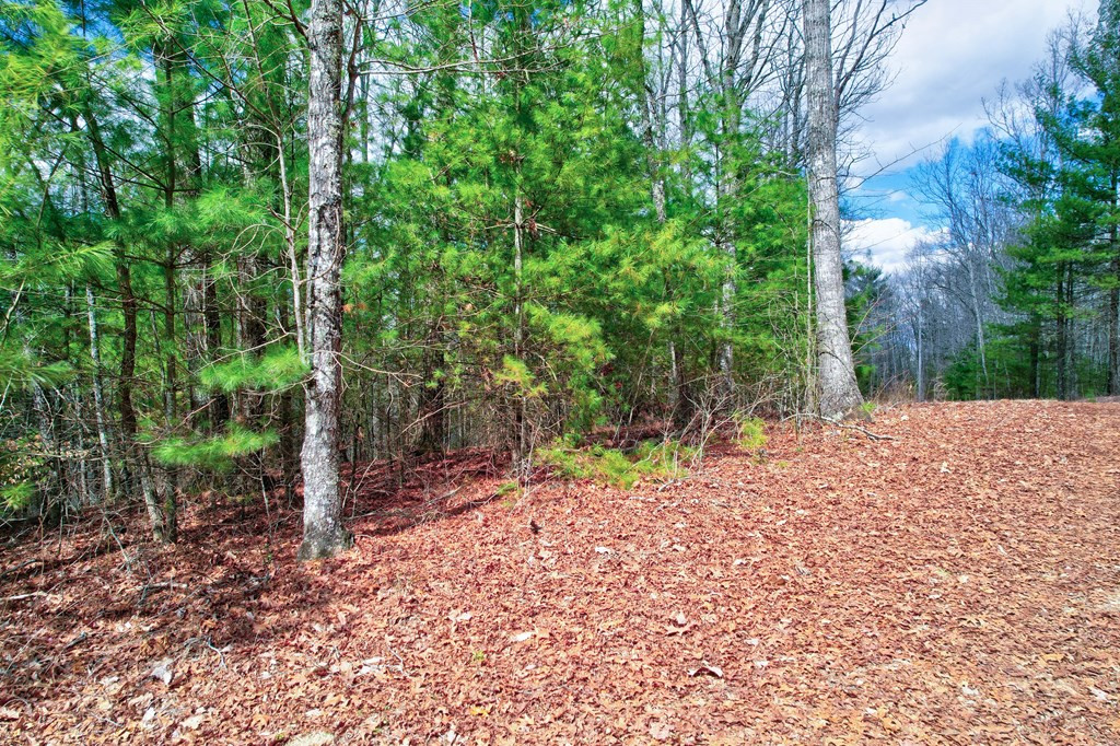 22-24 Rye Field Road Murphy, NC 28906 - Photo 9 of 26