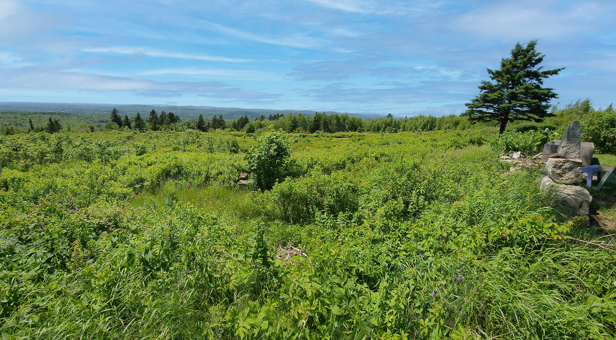 533 Mt Ephraim Road Searsport, ME 04974 - Photo 22 of 70