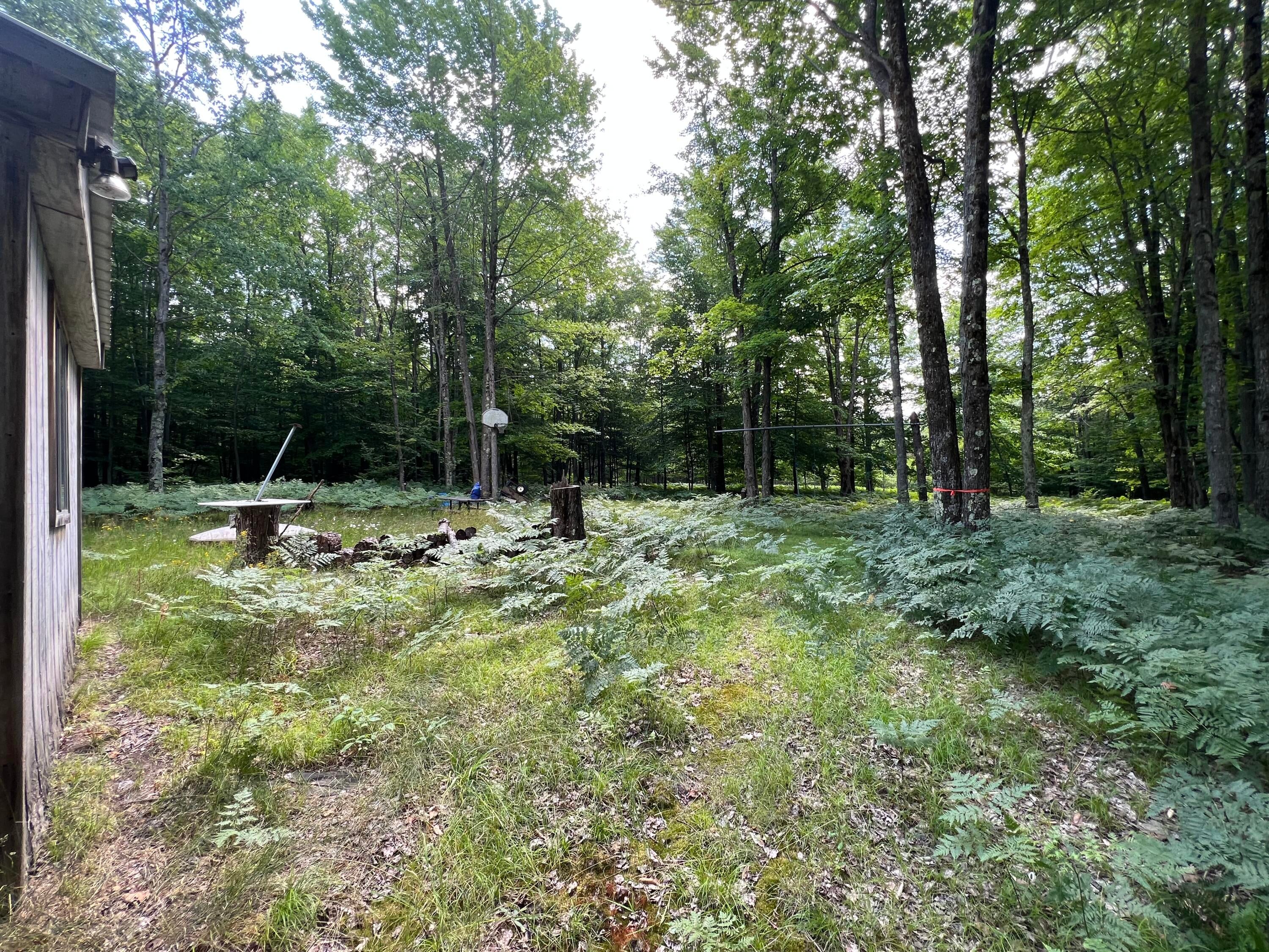 11835 West 16 Road Mesick, MI 49668 - Photo 8 of 21 Gallery Image 8