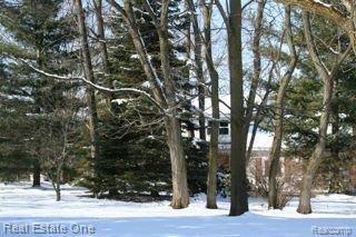 11168 Horton Road Holly, MI 48442 - Photo 3 of 22 Tree lined