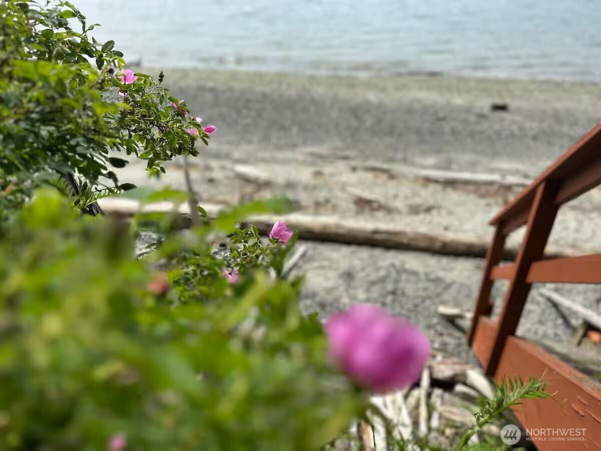 5244 Deer Harbor Road Orcas Island, WA 98243 - Photo 20 of 38 a view of a flower