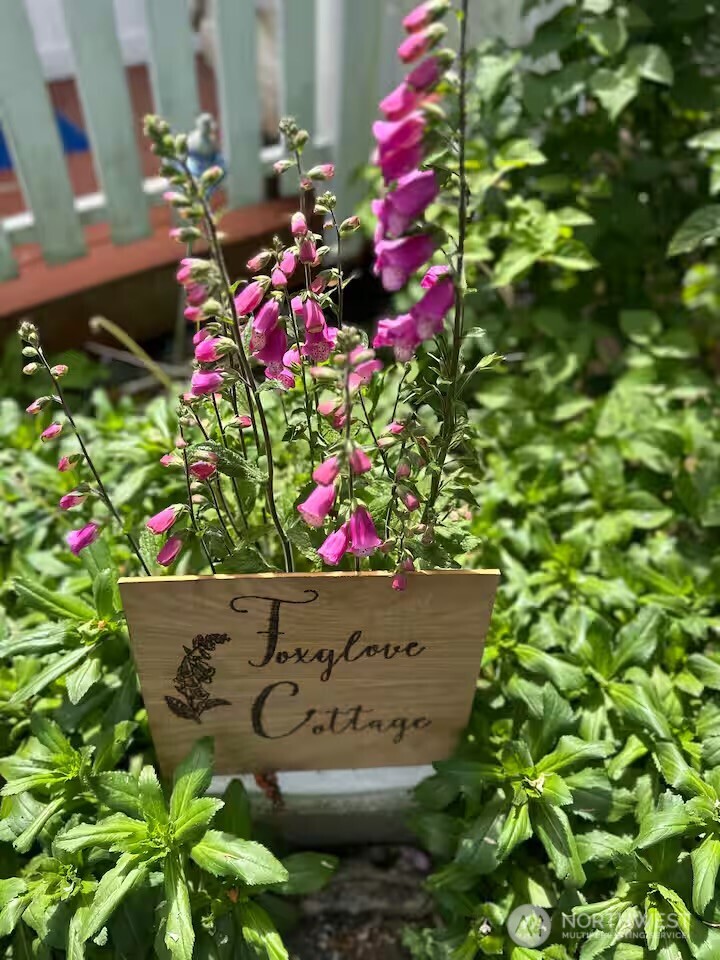 5244 Deer Harbor Road Orcas Island, WA 98243 - Photo 37 of 38