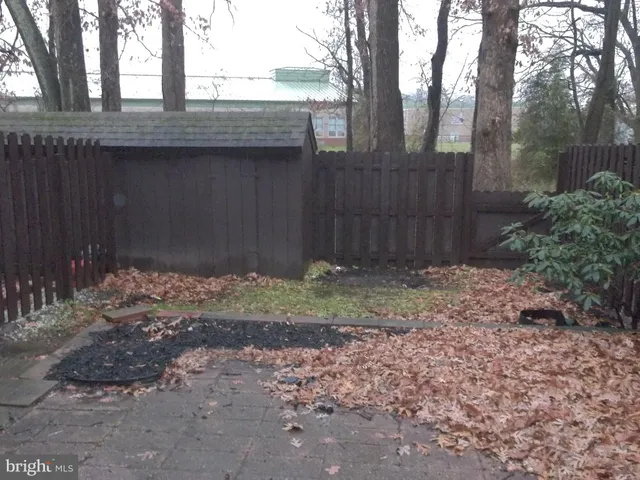 a view of a backyard with large trees and wooden fence