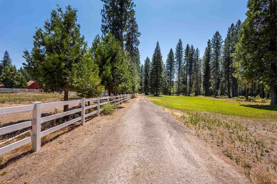 Lot B Red Cloud Ranch Road McCloud, CA 96057 - Photo 3 of 18 Gallery Image 3