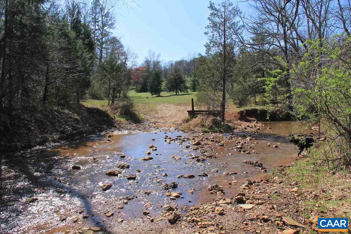 7814 Chestnut Grove Road Esmont, VA 22937 - Photo 25 of 28 a view of a forest with trees