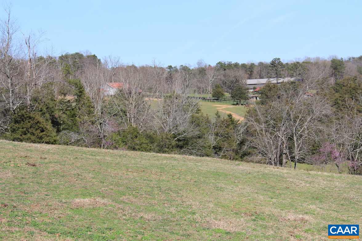 7814 Chestnut Grove Road Esmont, VA 22937 - Photo 27 of 28 a view of a yard with trees in the background