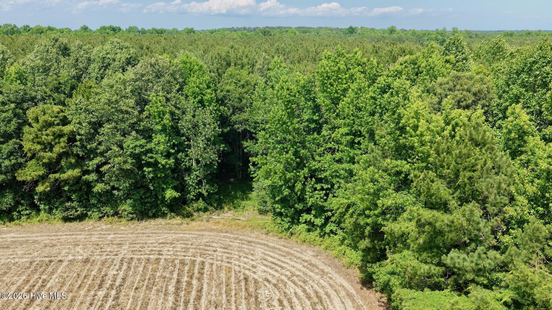 0 Off 1040d Republican Road Windsor, NC 27983 - Photo 26 of 27 4