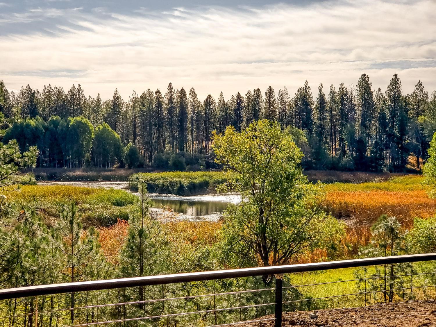 12505 South Spotted Road Cheney, WA 99004 - Photo 42 of 50