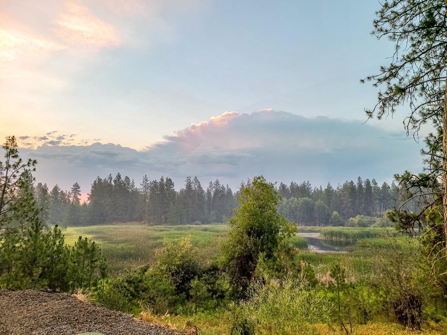 12505 South Spotted Road Cheney, WA 99004 - Photo 43 of 50