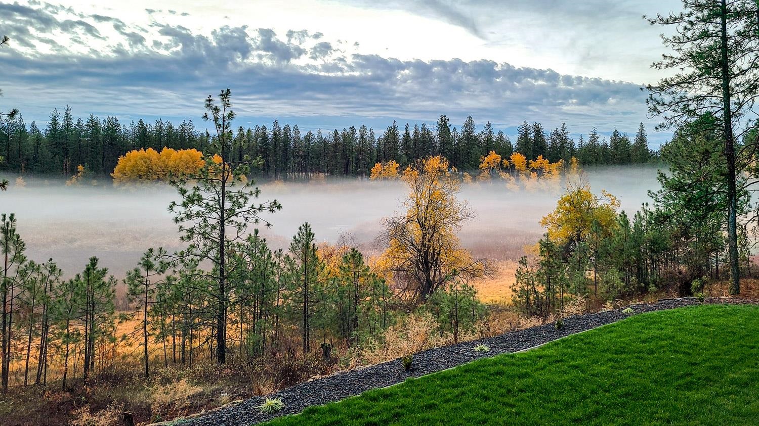 12505 South Spotted Road Cheney, WA 99004 - Photo 44 of 50