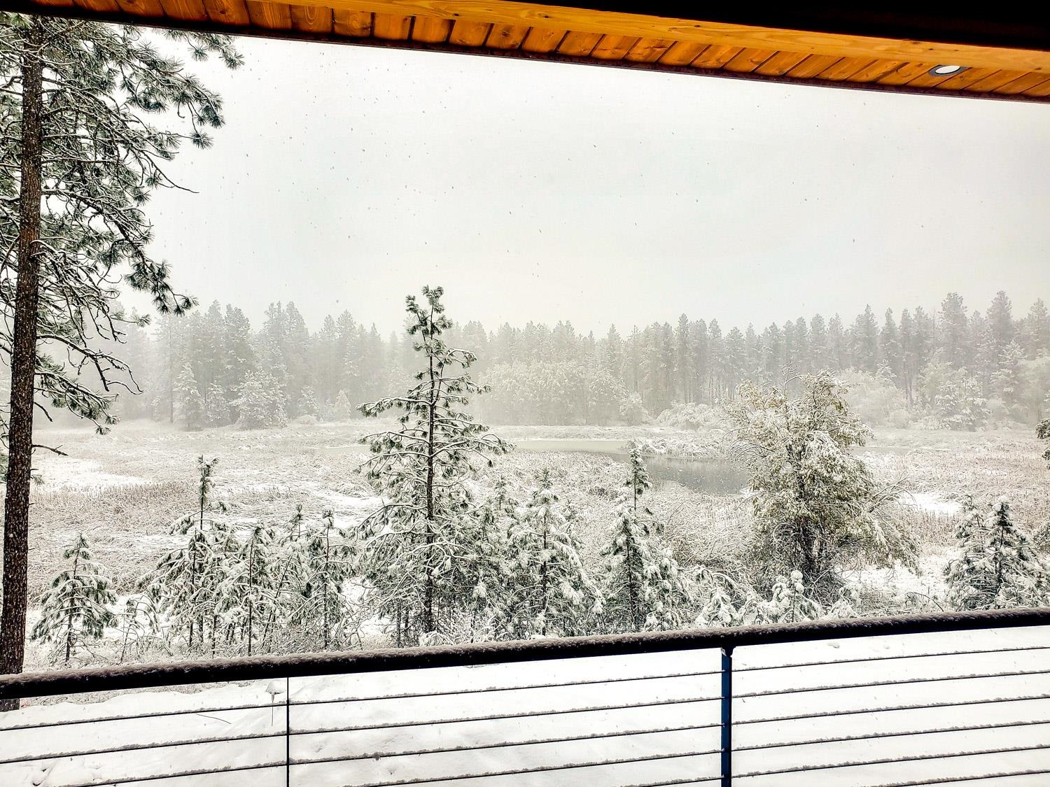 12505 South Spotted Road Cheney, WA 99004 - Photo 46 of 50