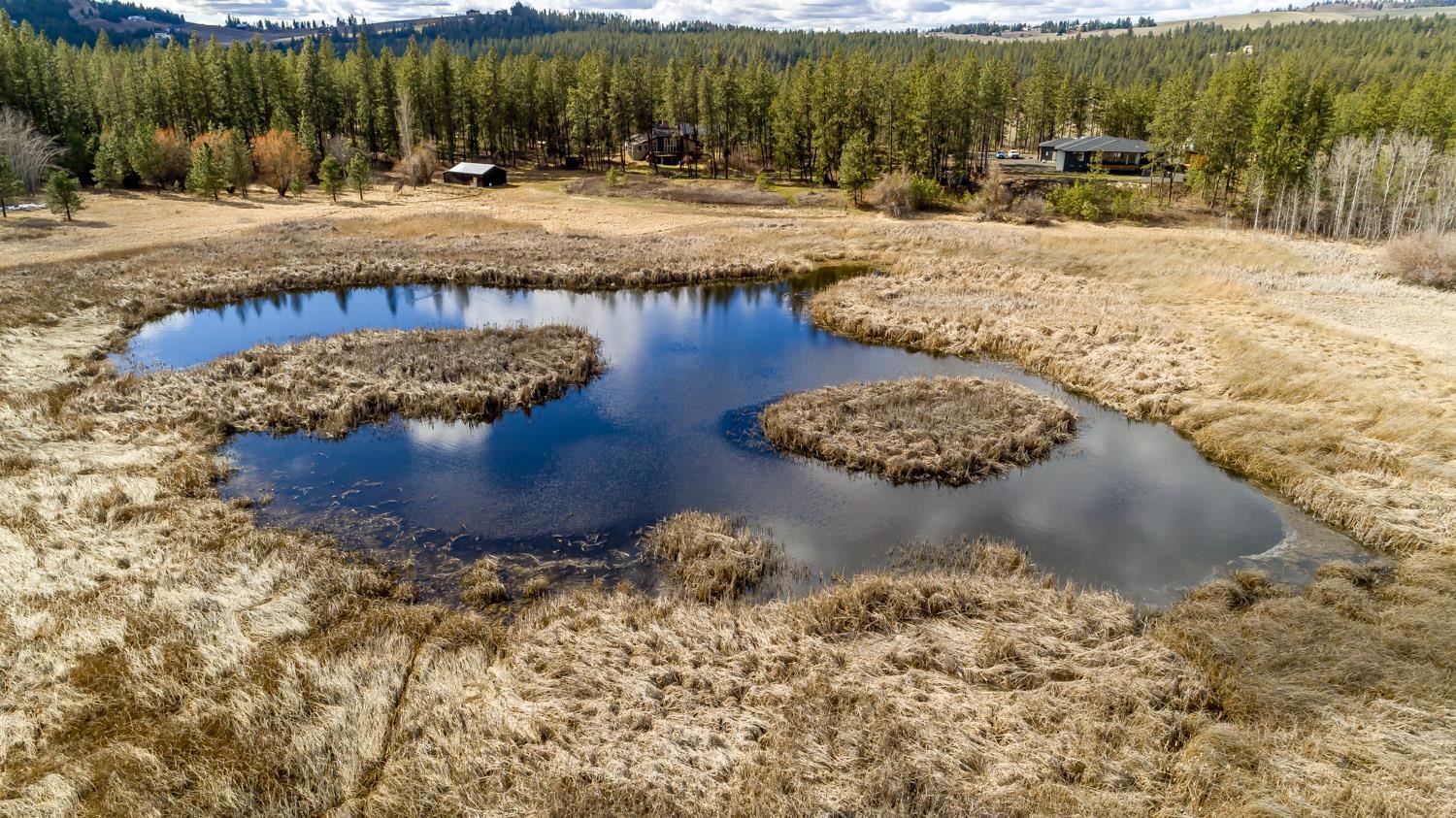 12505 South Spotted Road Cheney, WA 99004 - Photo 48 of 50