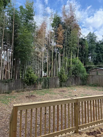 a view of wooden fence