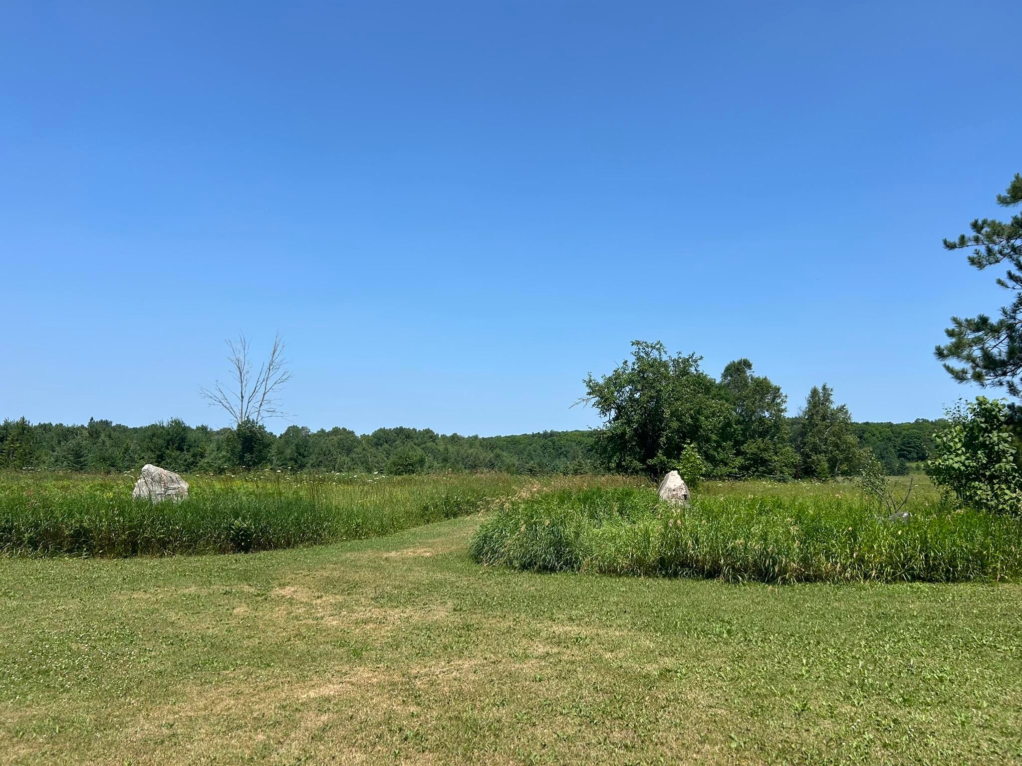 28348 West County Line Road Trout Lake, MI 49793 - Photo 23 of 83 Gallery Image 23