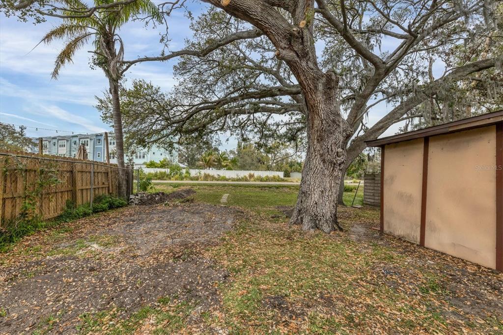 2305 Novus Street Sarasota, FL 34237 - Photo 22 of 28 a backyard of a house with lots of green space