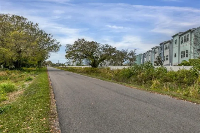 a view of a garden with plants