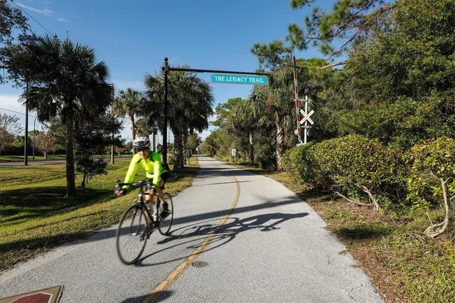 a view of a swimming pool with a bench and trees