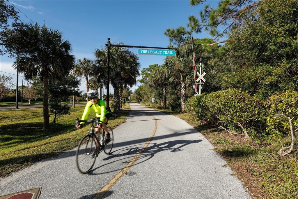 2305 Novus Street Sarasota, FL 34237 - Photo 26 of 28 a view of a swimming pool with a bench and trees