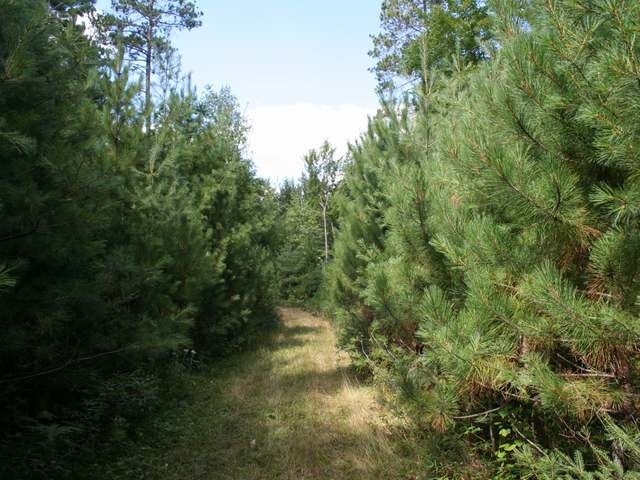 146-ac River Road Manitowish Waters, WI 54545 - Photo 13 of 20 Gallery Image 13