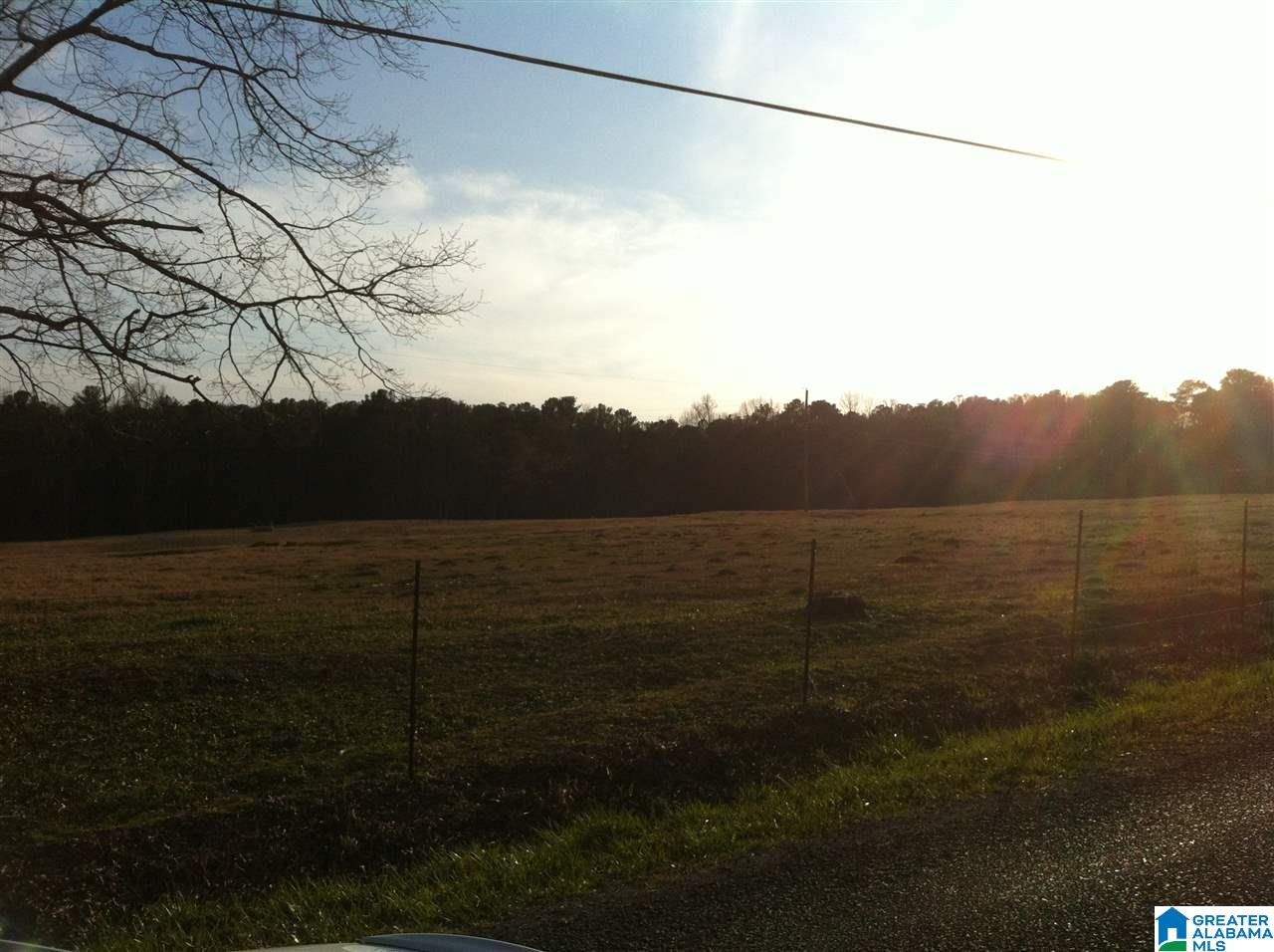 2137 Clevet Springs Road Hayden, AL 35079 - Photo 5 of 13