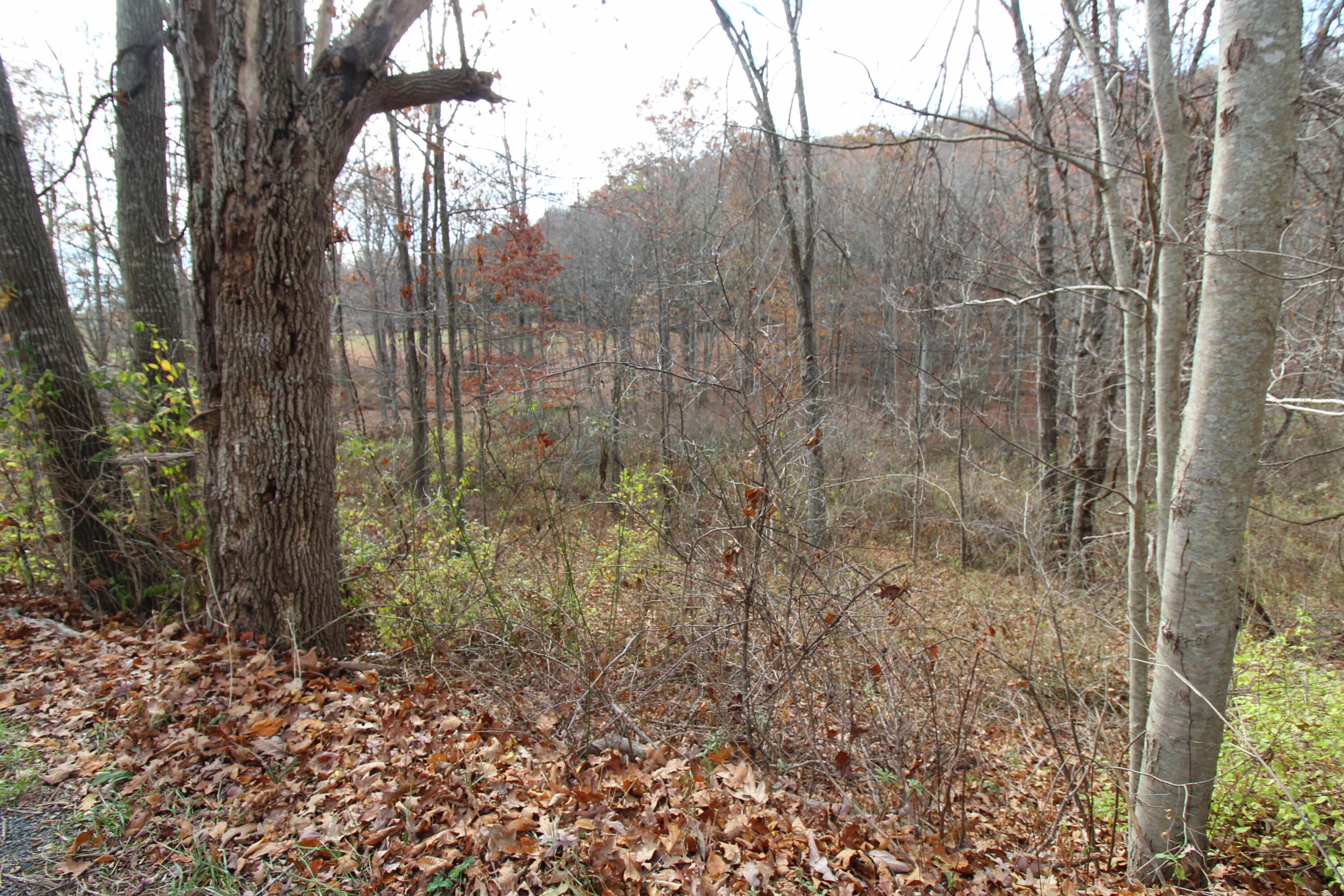 9031 Judson Road Hinton, WV 25951 - Photo 22 of 32 Gallery Image 22