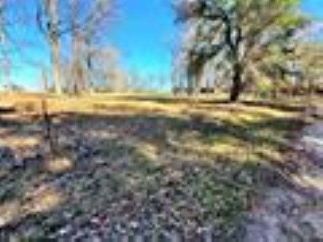 0 Cheyenne Road Zavalla, TX 75980 - Photo 4 of 6