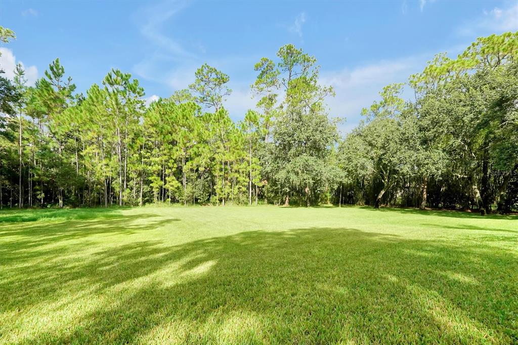 12012 Rambling Oak Boulevard Orlando, FL 32832 - Photo 55 of 68