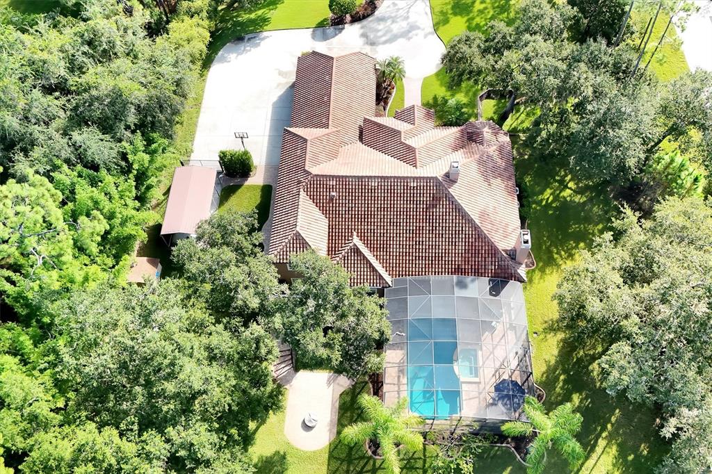 12012 Rambling Oak Boulevard Orlando, FL 32832 - Photo 65 of 68