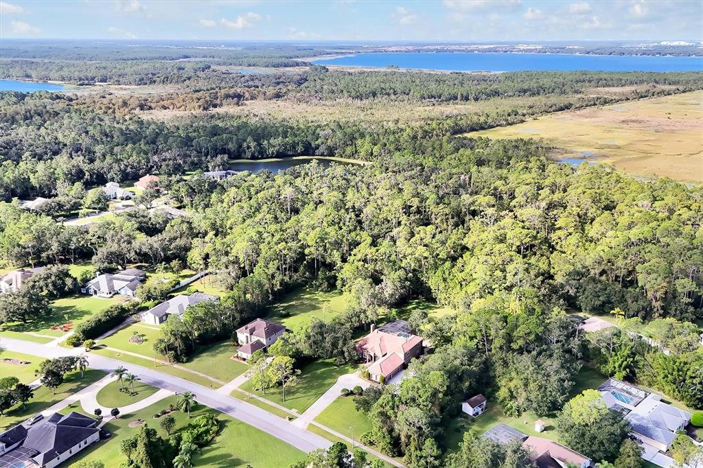 12012 Rambling Oak Boulevard Orlando, FL 32832 - Photo 68 of 68