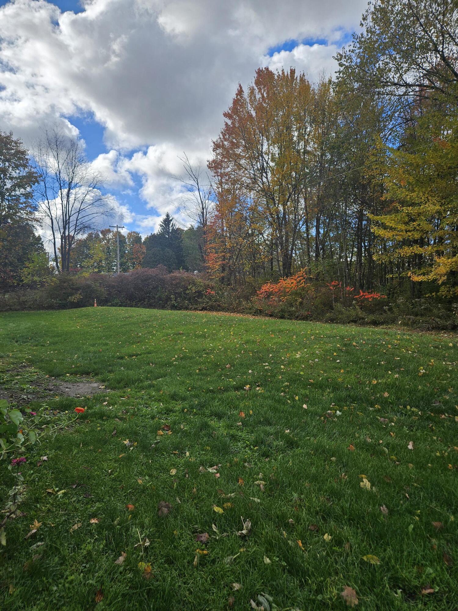 7100 Assyria Road Nashville, MI 49073 - Photo 6 of 33 1000025347
