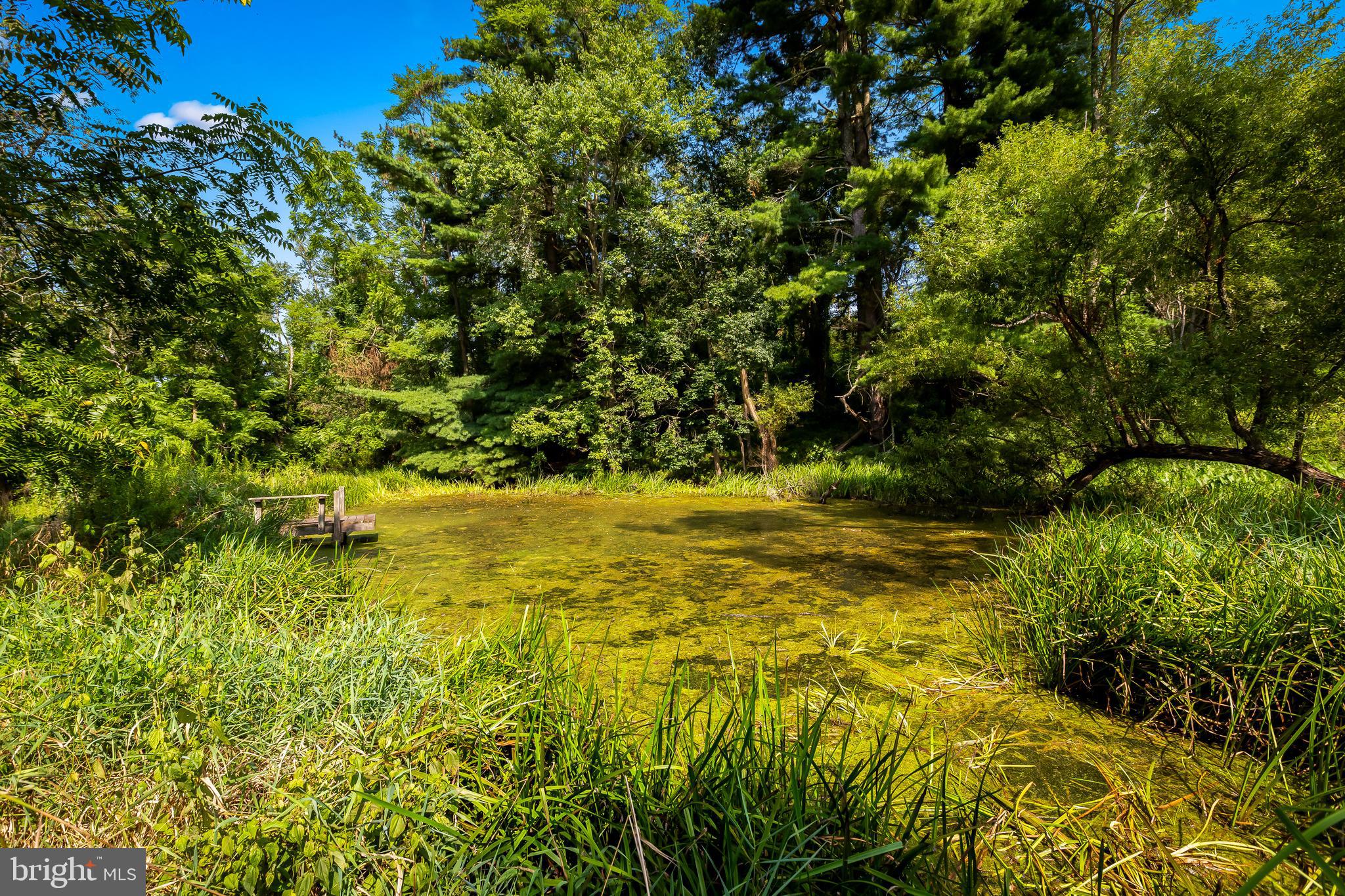 21532 West Liberty Road Parkton, MD 21120 - Photo 53 of 75 Large private fishing pond + Certified Habitat