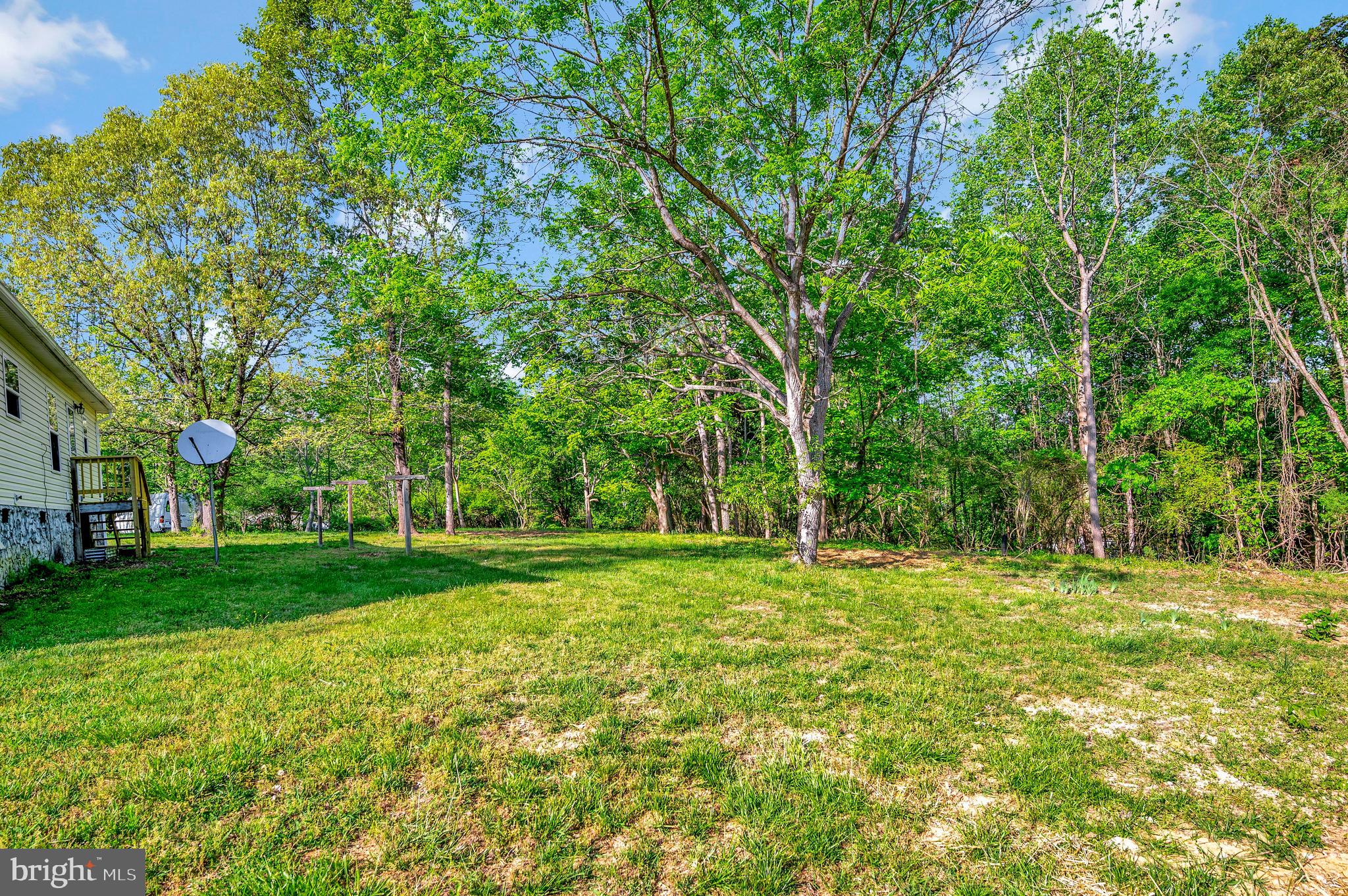 118 Days Bridge Road Mineral, VA 23117 - Photo 12 of 44