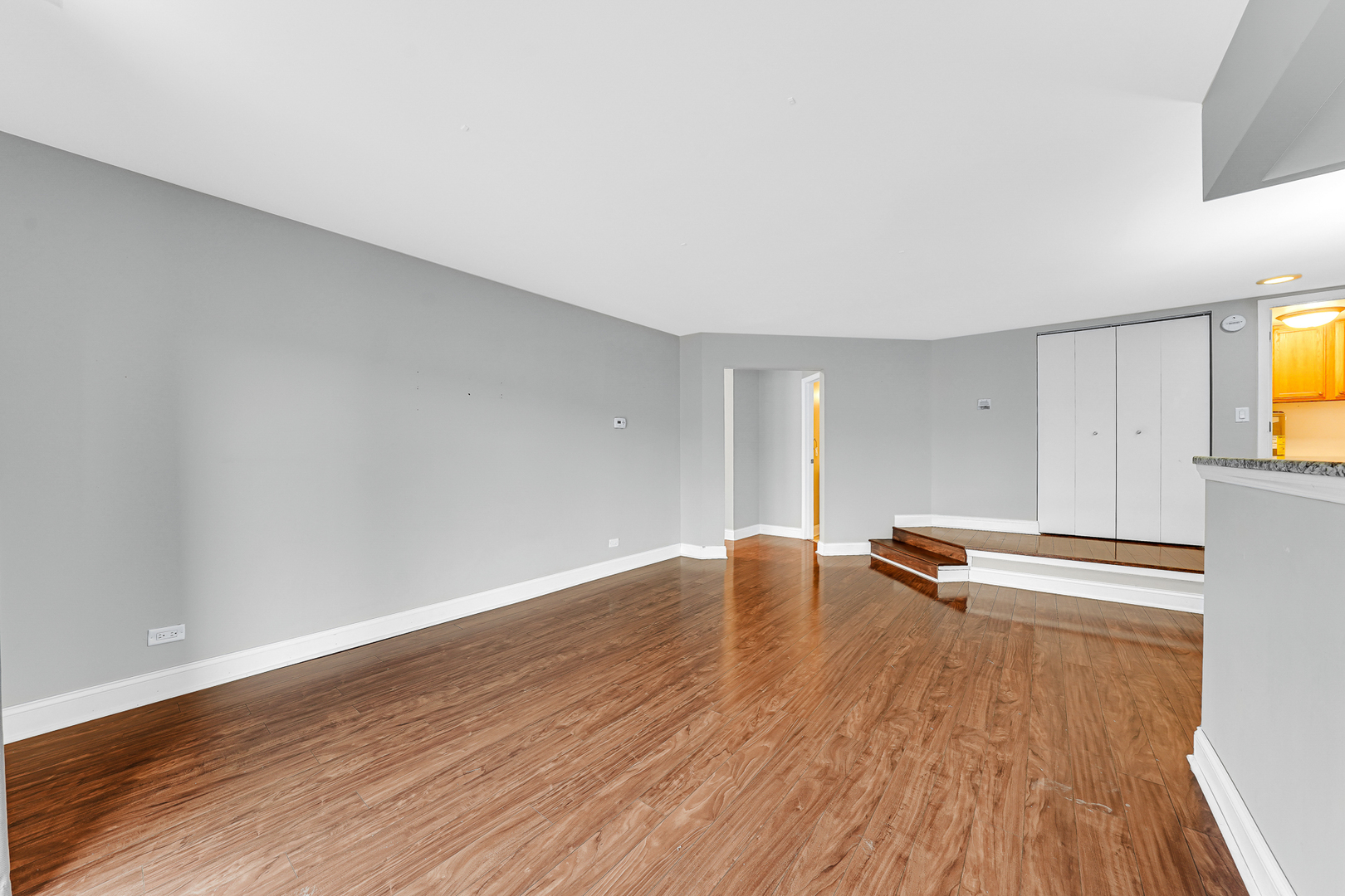 752 Rodenburg Road, Unit 1A Roselle, IL 60172 - Photo 7 of 21 Gallery Image 7