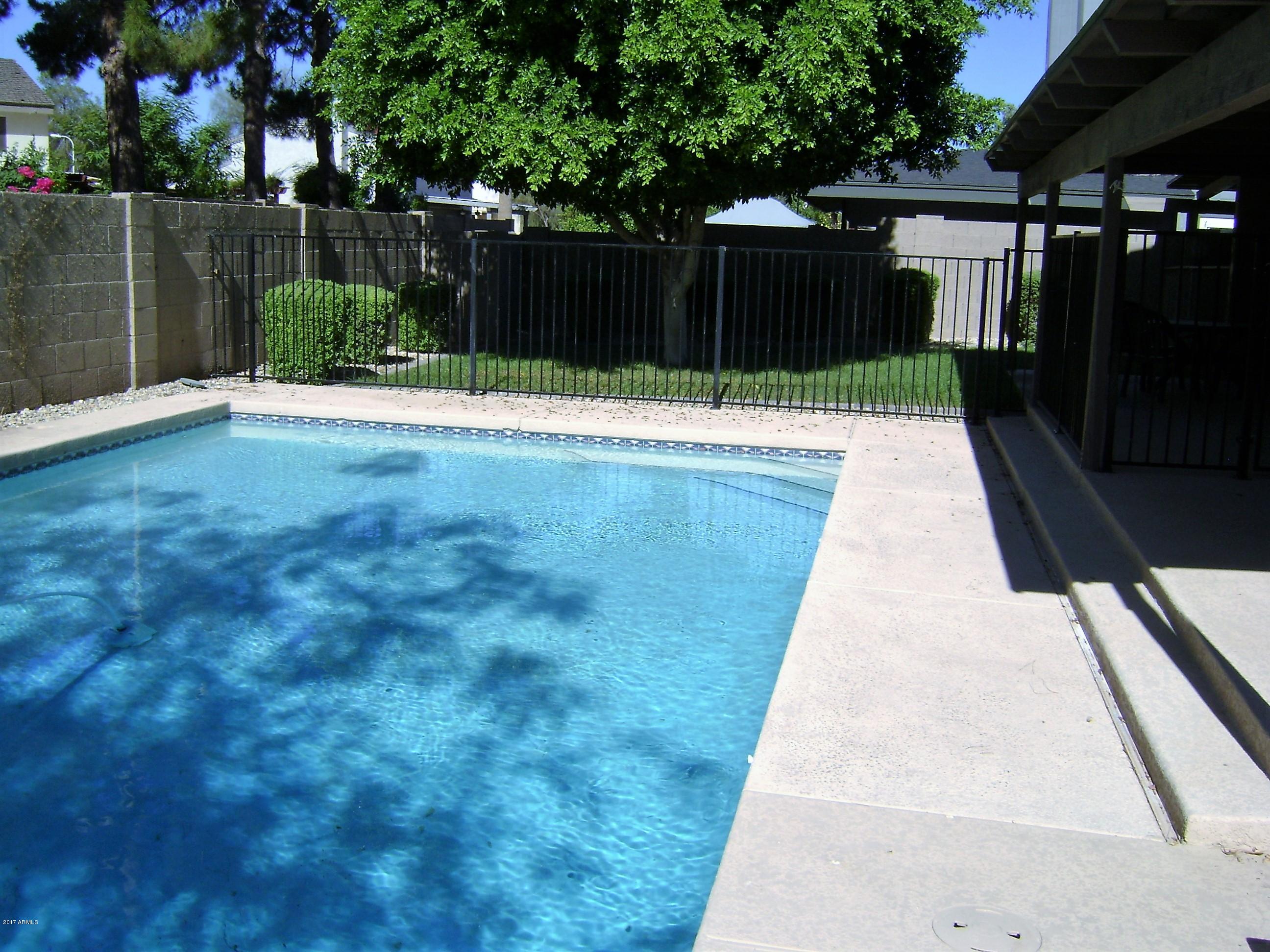 1707 East Redfield Road Tempe, AZ 85283 - Photo 7 of 19 Sparkling Pool