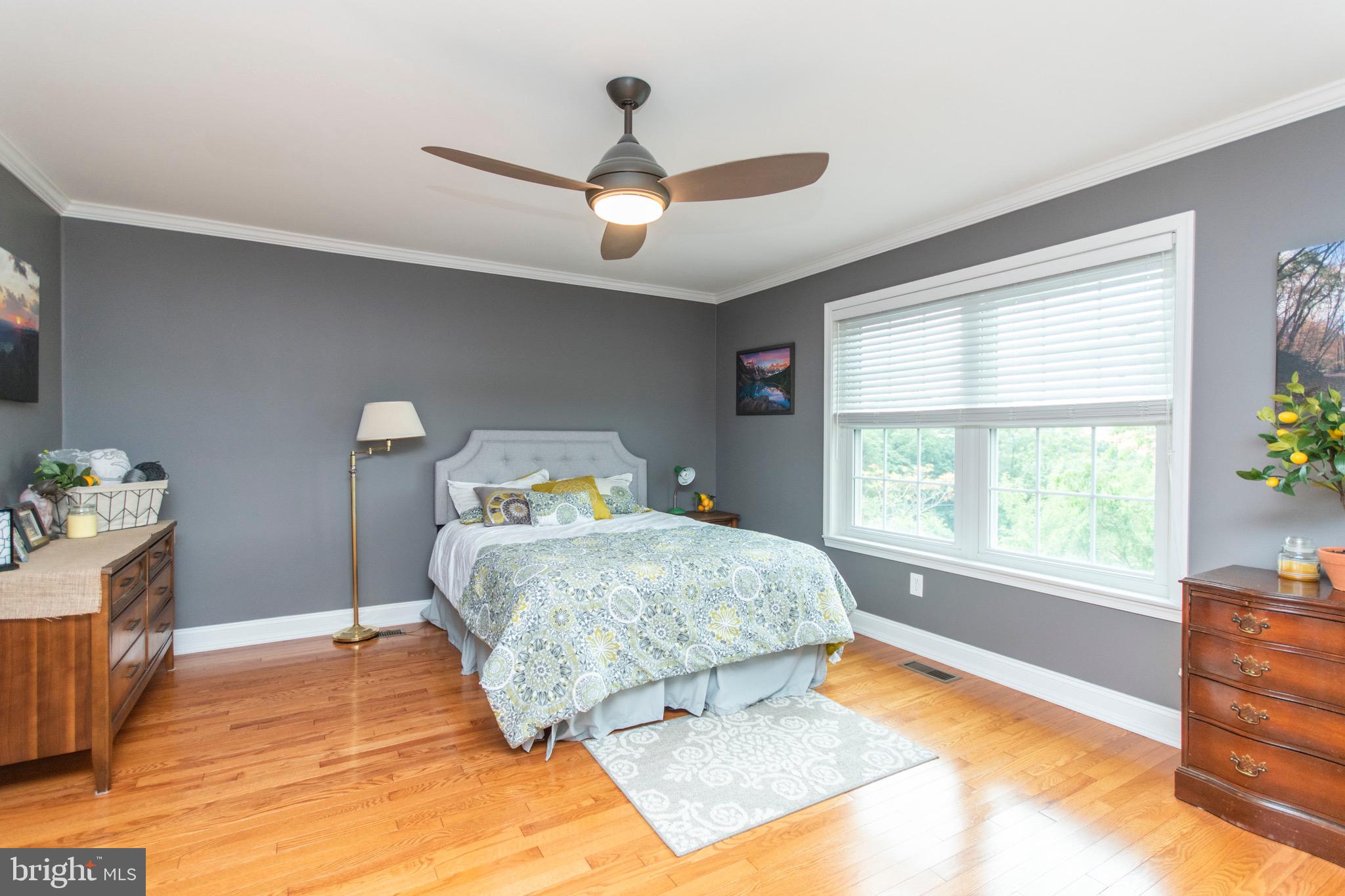 264 Ripka Street Philadelphia, PA 19127 - Photo 15 of 35 Master Suite