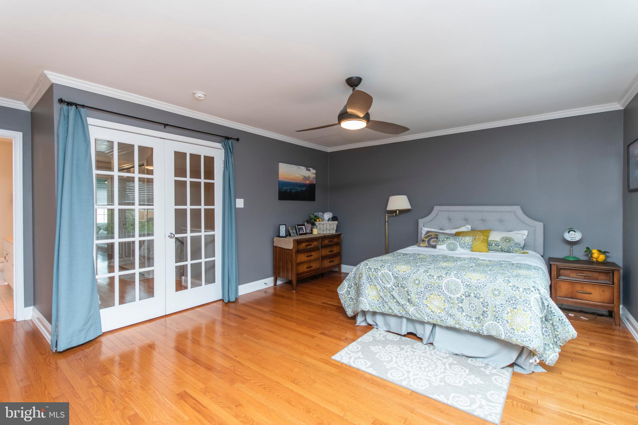 264 Ripka Street Philadelphia, PA 19127 - Photo 17 of 35 Spacious Master Suite