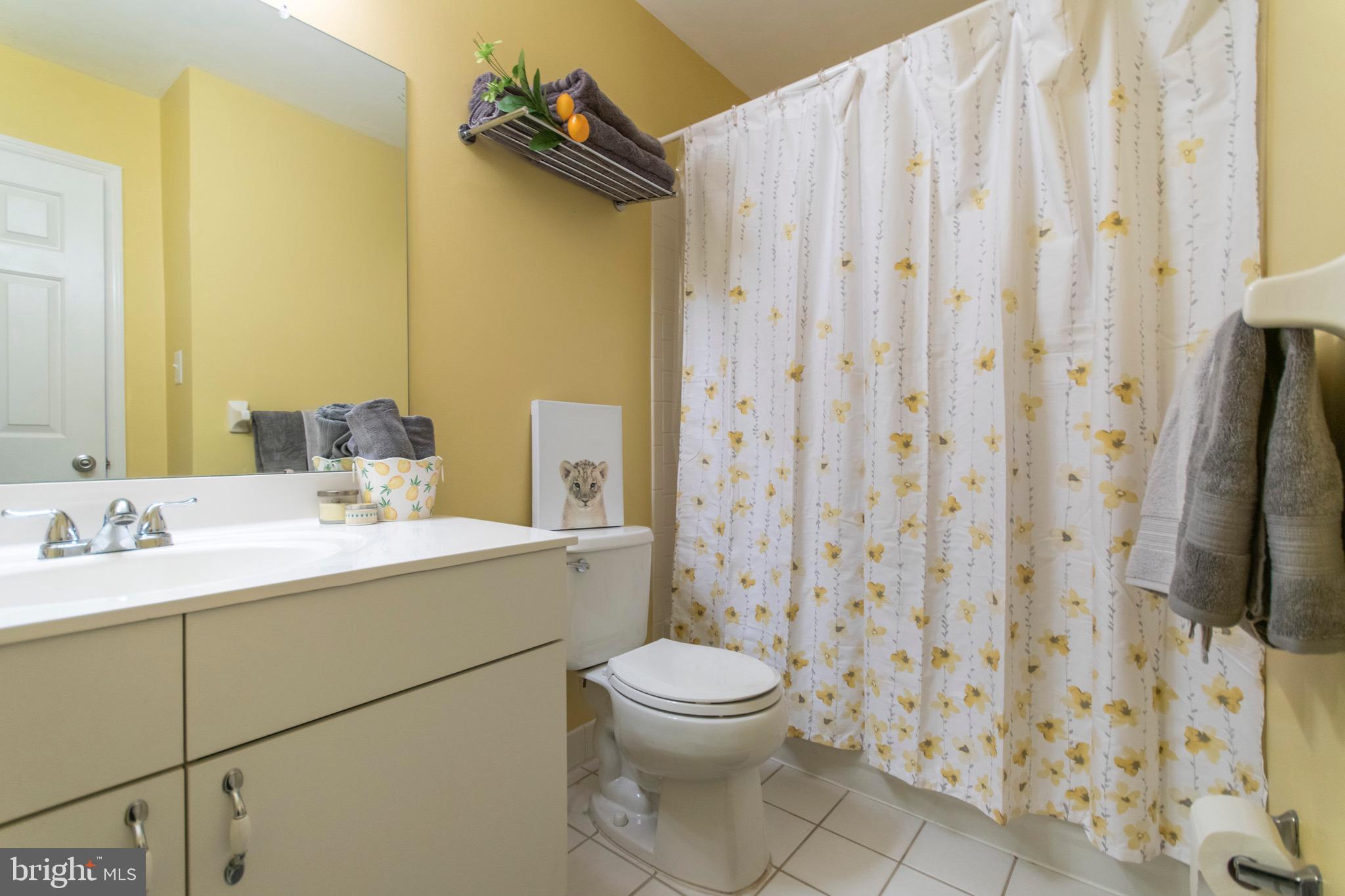 264 Ripka Street Philadelphia, PA 19127 - Photo 27 of 35 Center Hall Bathroom