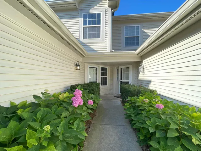 a flower plants and a window