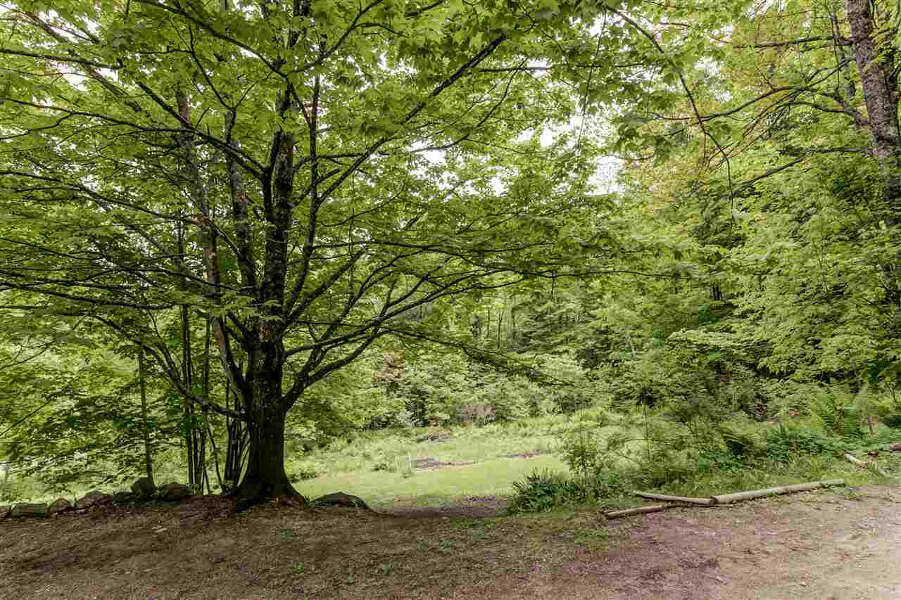 1556 East Madison Road Madison, NH 03849 - Photo 4 of 32 Gallery Image 4