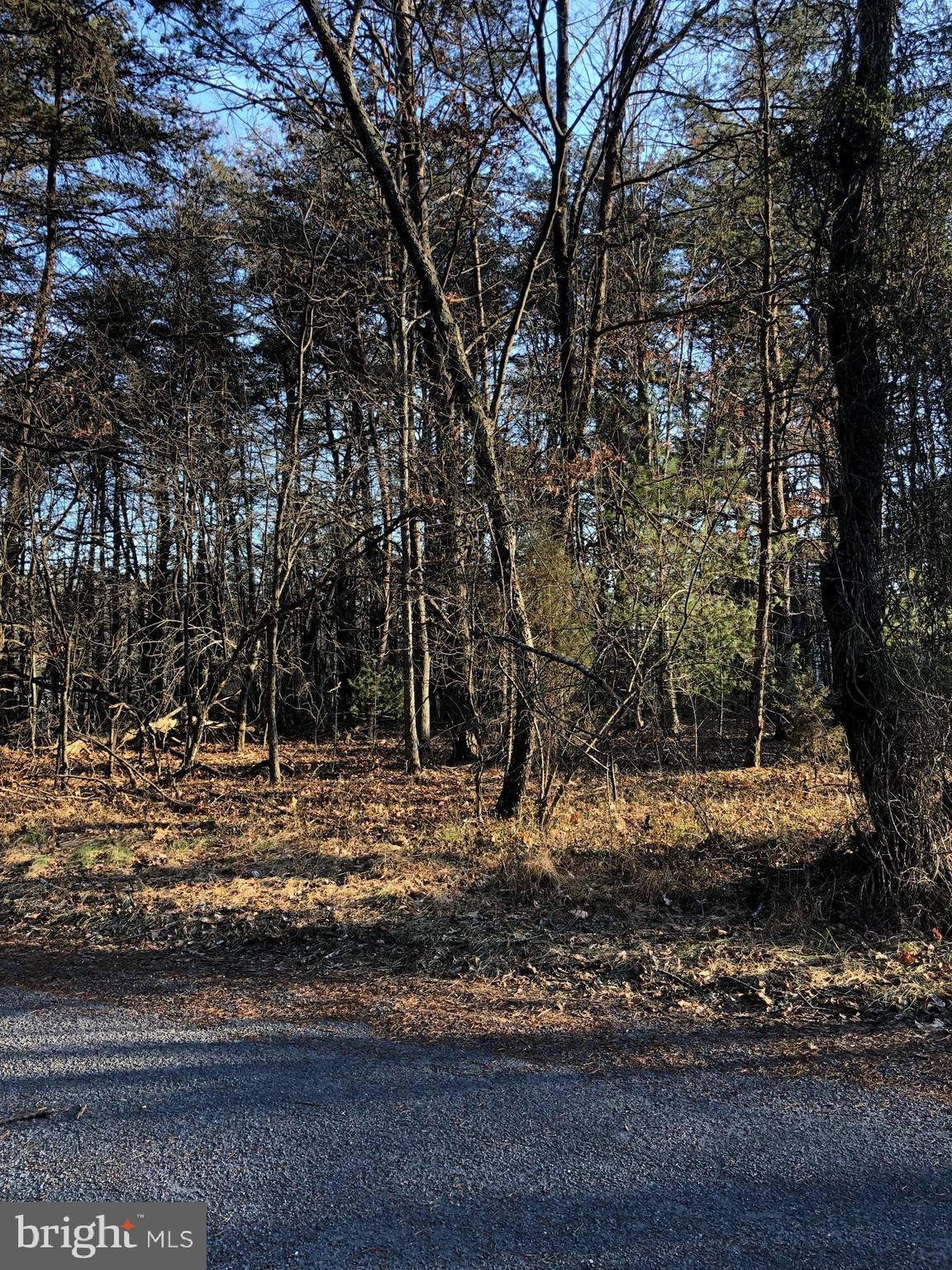 0 Longstreet Road Basye, VA 22810 - Photo 1 of 3 a view of a yard with large trees