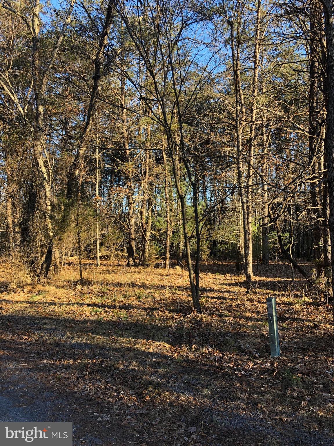 0 Longstreet Road Basye, VA 22810 - Photo 3 of 3 a view of a yard with a tree