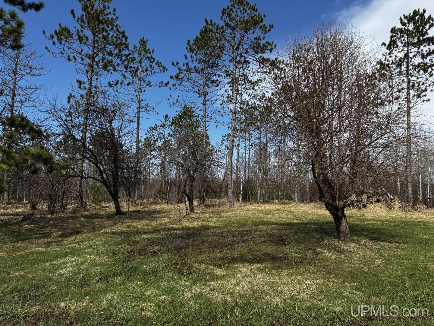 36431 Daniels Road Ontonagon, MI 49953 - Photo 6 of 27
