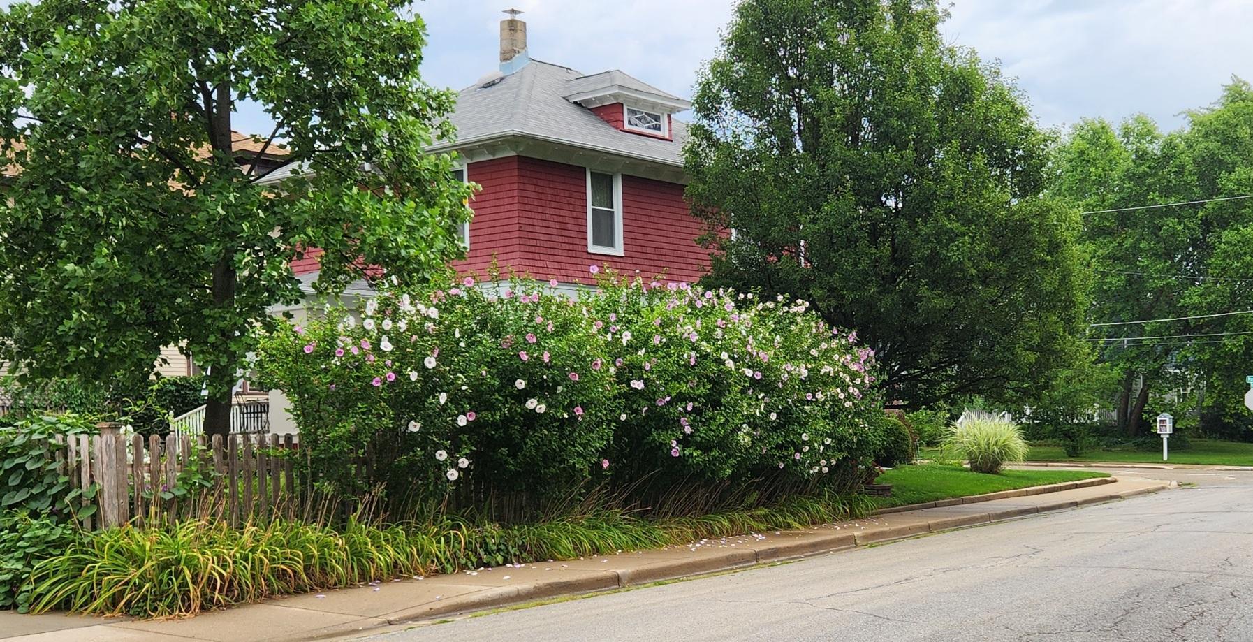 102 Monroe Street Elgin, IL 60123 - Photo 32 of 34 a view of a yard with potted plants