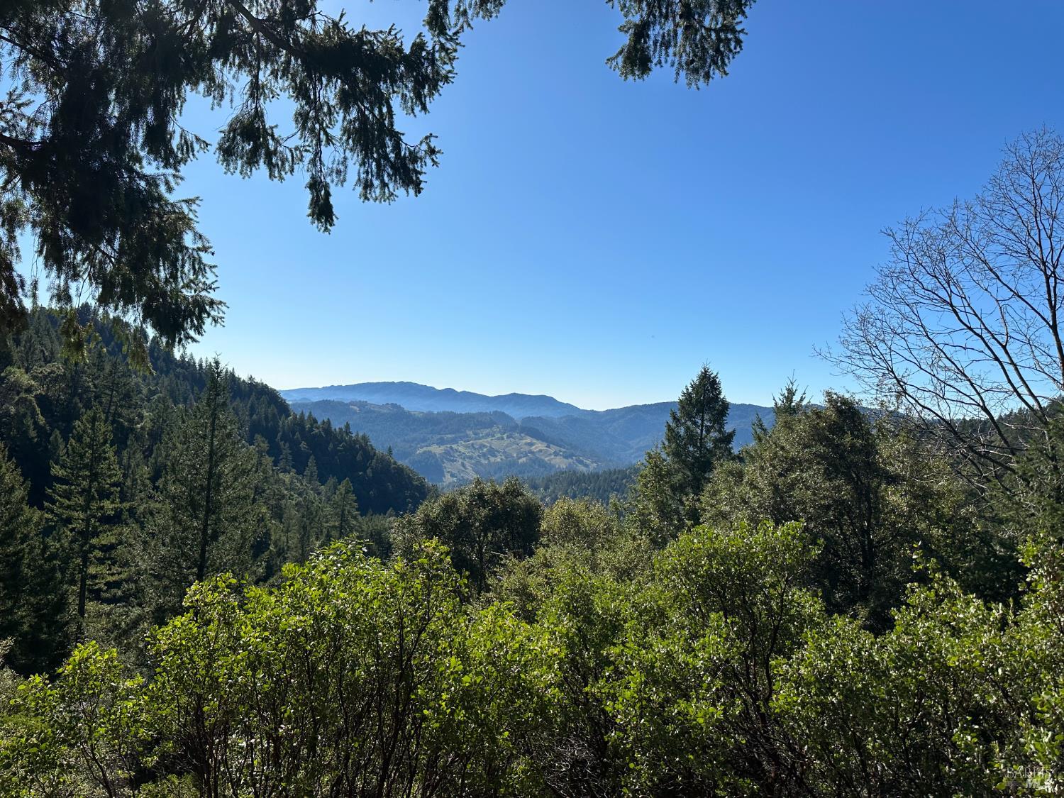 59145 Bell Springs Road Laytonville, CA 95454 - Photo 30 of 40