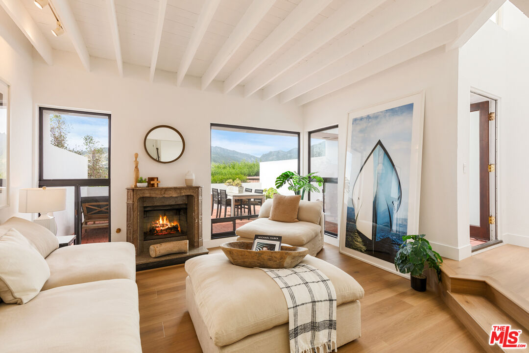 29221 Heathercliff Road, Unit 13 Malibu, CA 90265 - Photo 12 of 43 a living room with furniture a fireplace and a potted plant