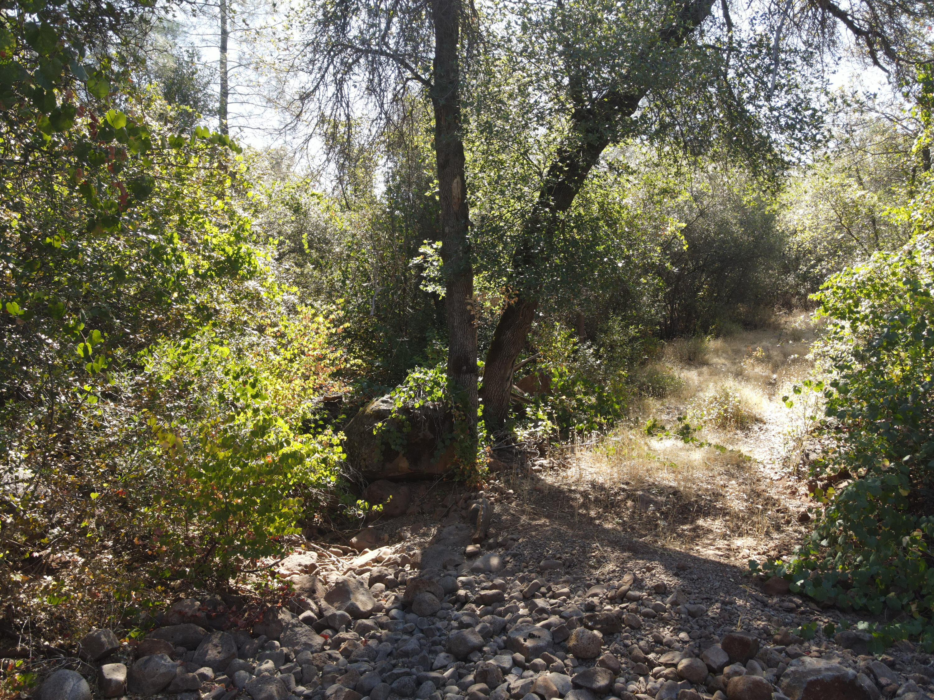 Nsa Dersch Road Shingletown, CA 96088 - Photo 36 of 56 DJI_0555_result